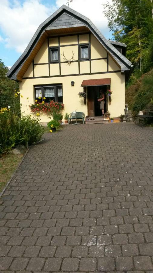 Birkenhain Stolberg i. Harz Kültér fotó