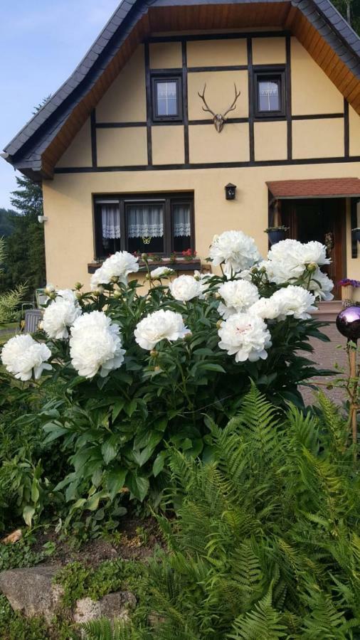Birkenhain Stolberg i. Harz Kültér fotó