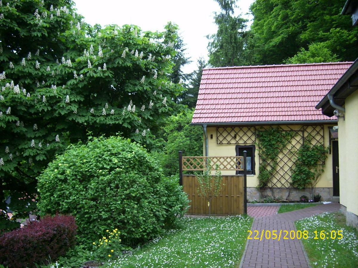 Birkenhain Stolberg i. Harz Kültér fotó
