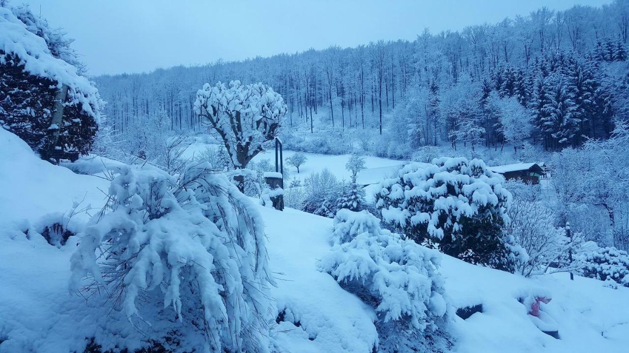 Birkenhain Stolberg i. Harz Kültér fotó